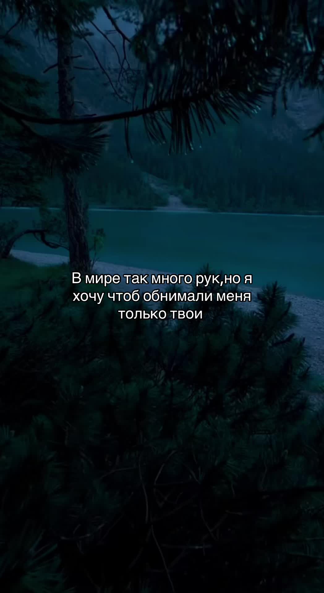 @🦇mindsnaps666🦇