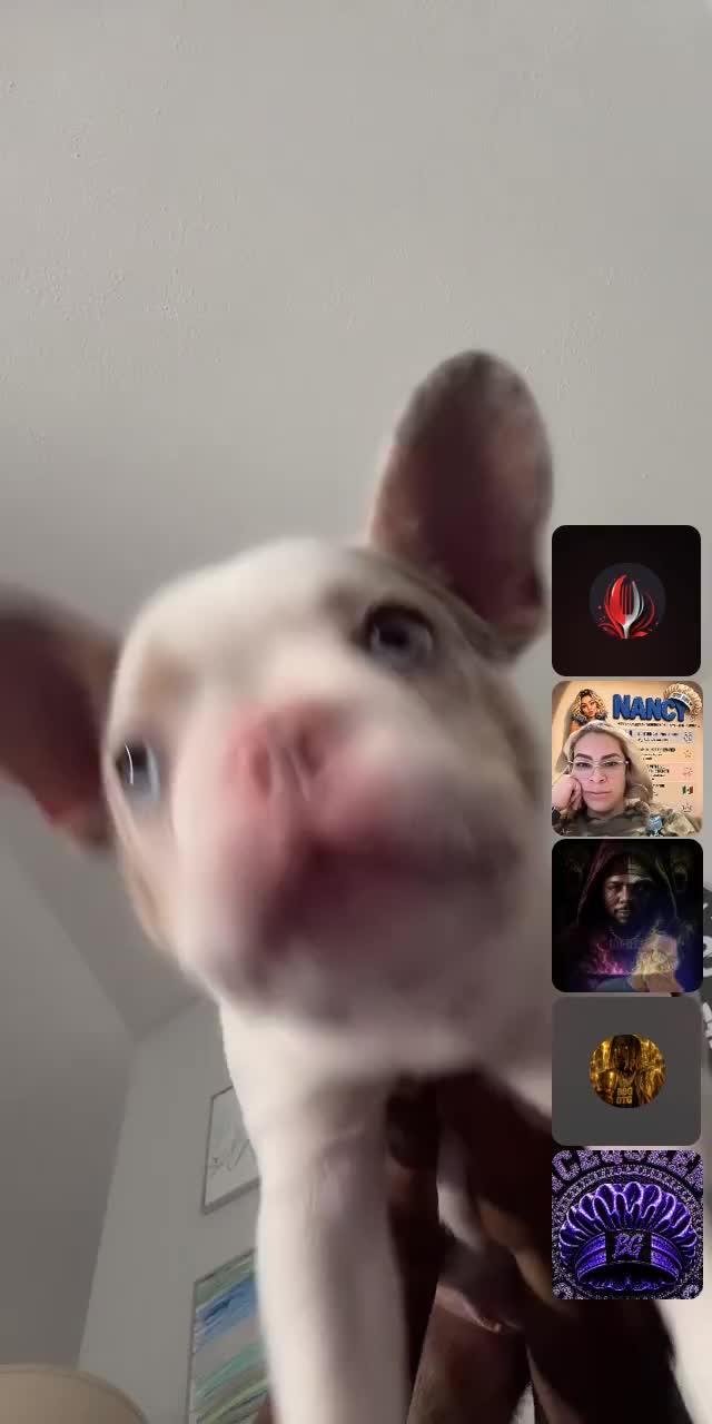 @💜🩵𝓘𝓒𝓔𝓠𝓤𝓔𝓔𝓝92🧊👑😴🐐