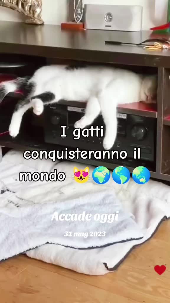@VENNE DAL FREDDO 🥶