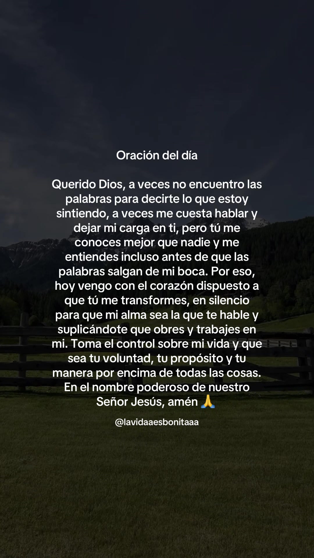 @vidabonita❤️&zwj;🩹