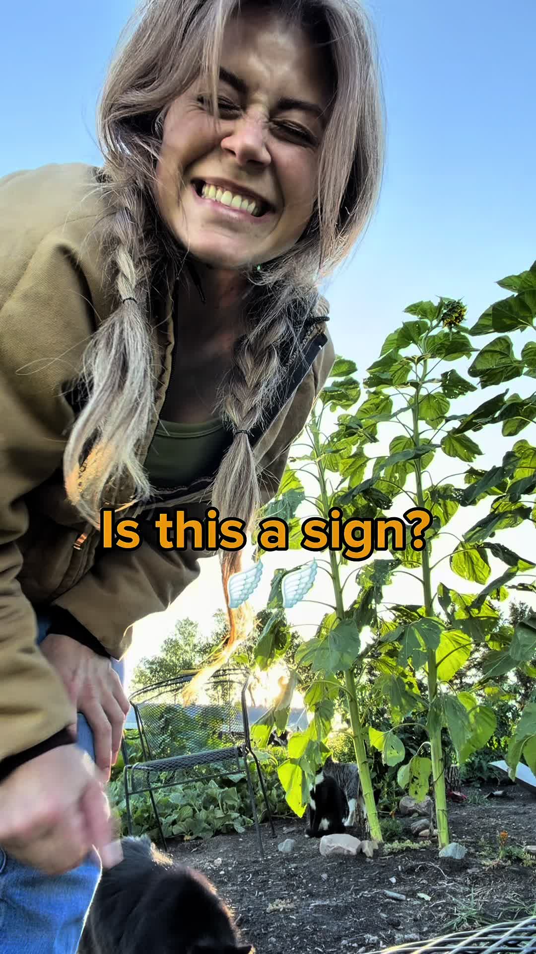 @Jojo Snow