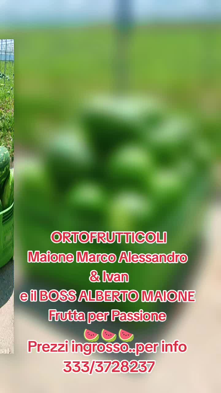 @Marco Maione