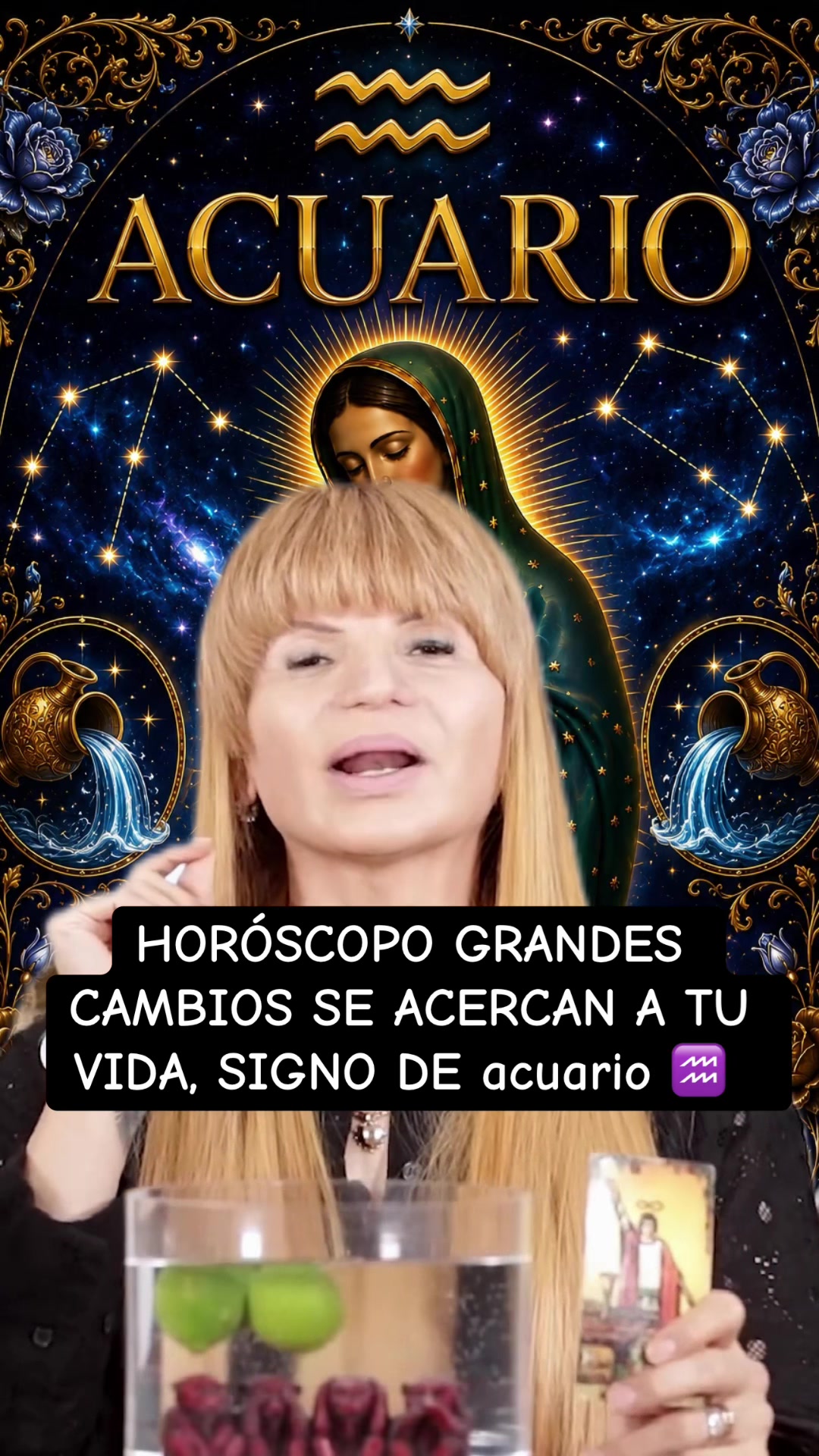 @✨ORÁCULO 13 ✨
