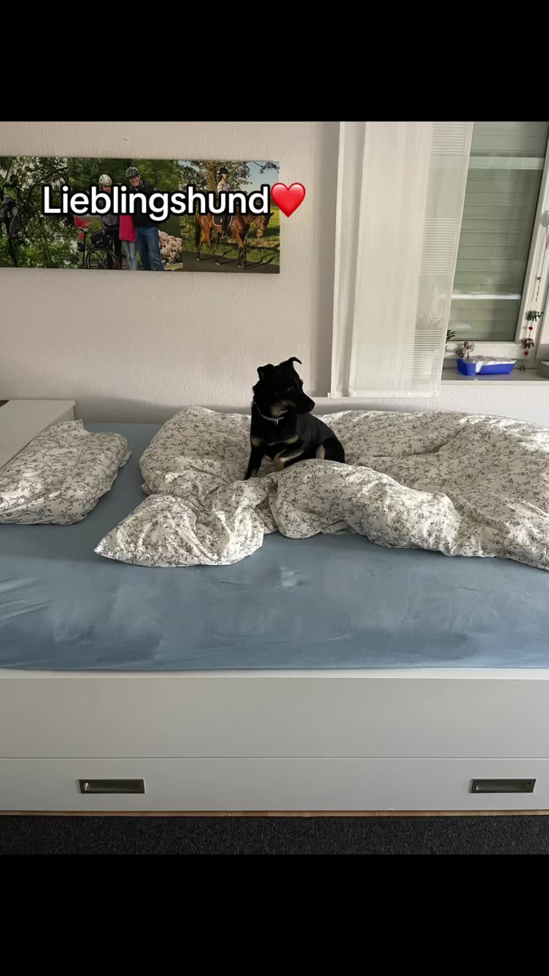 @leonie.0605