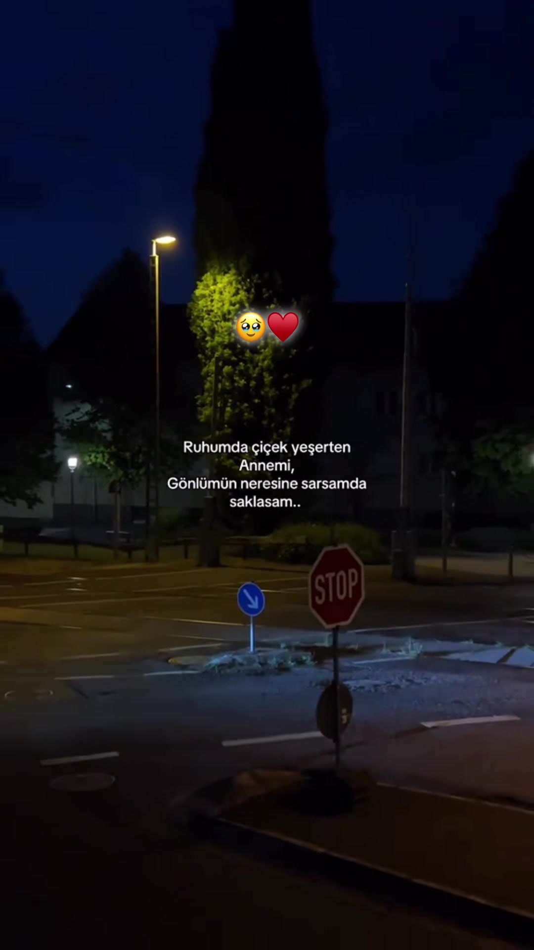 @onur_3801🧿&hearts;️🗣️🦅🇹🇷🇩🇪