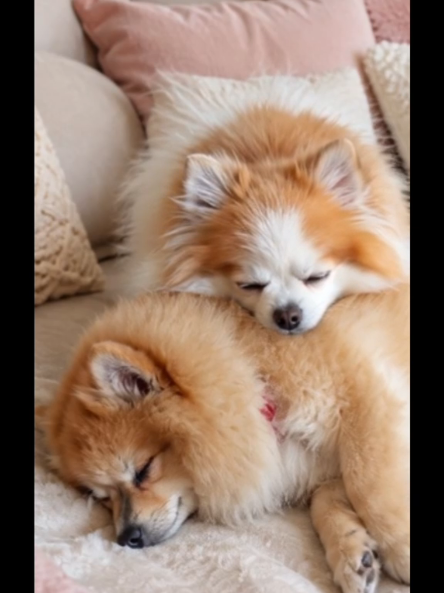 @Milow und Sammy