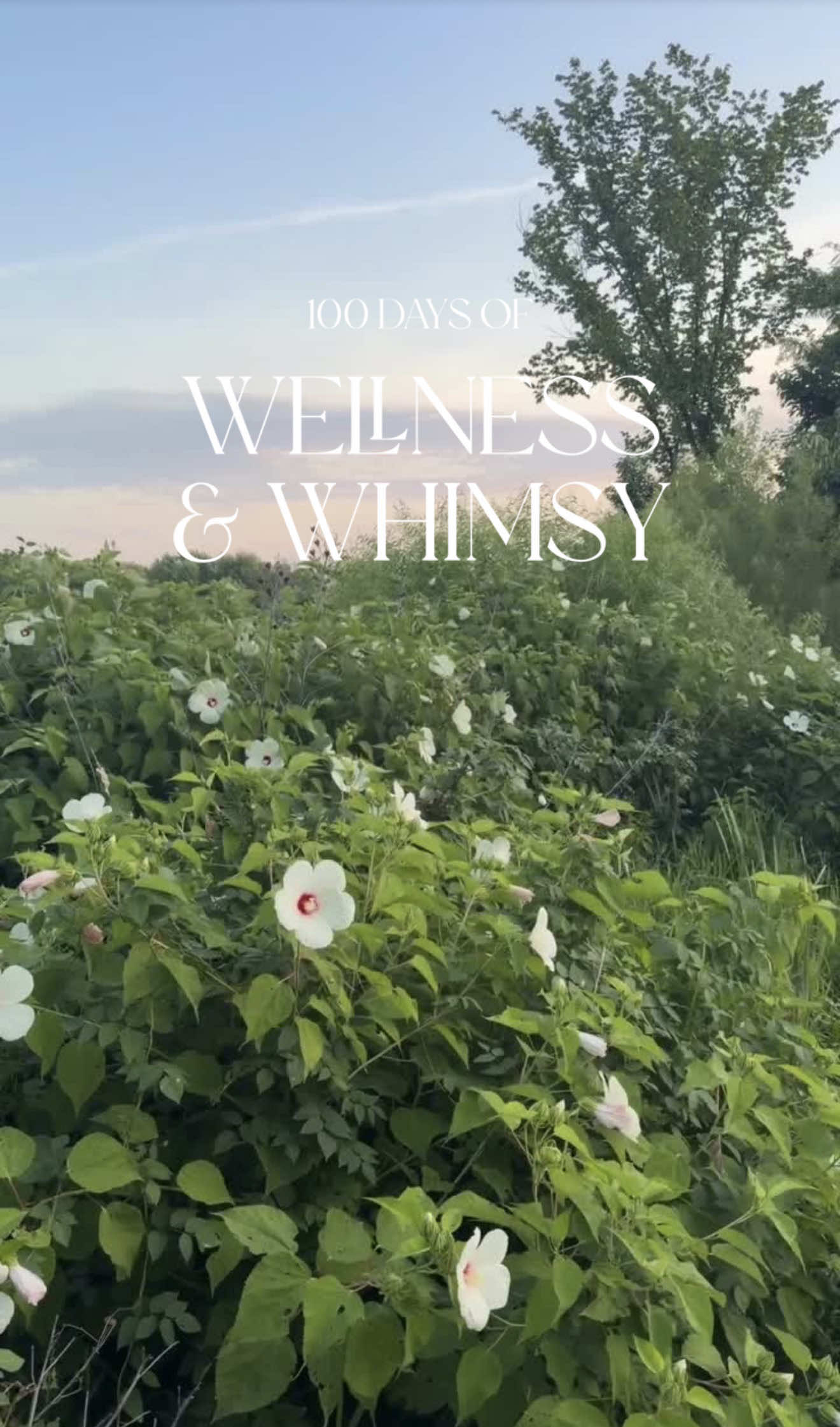 @melissagcampbell