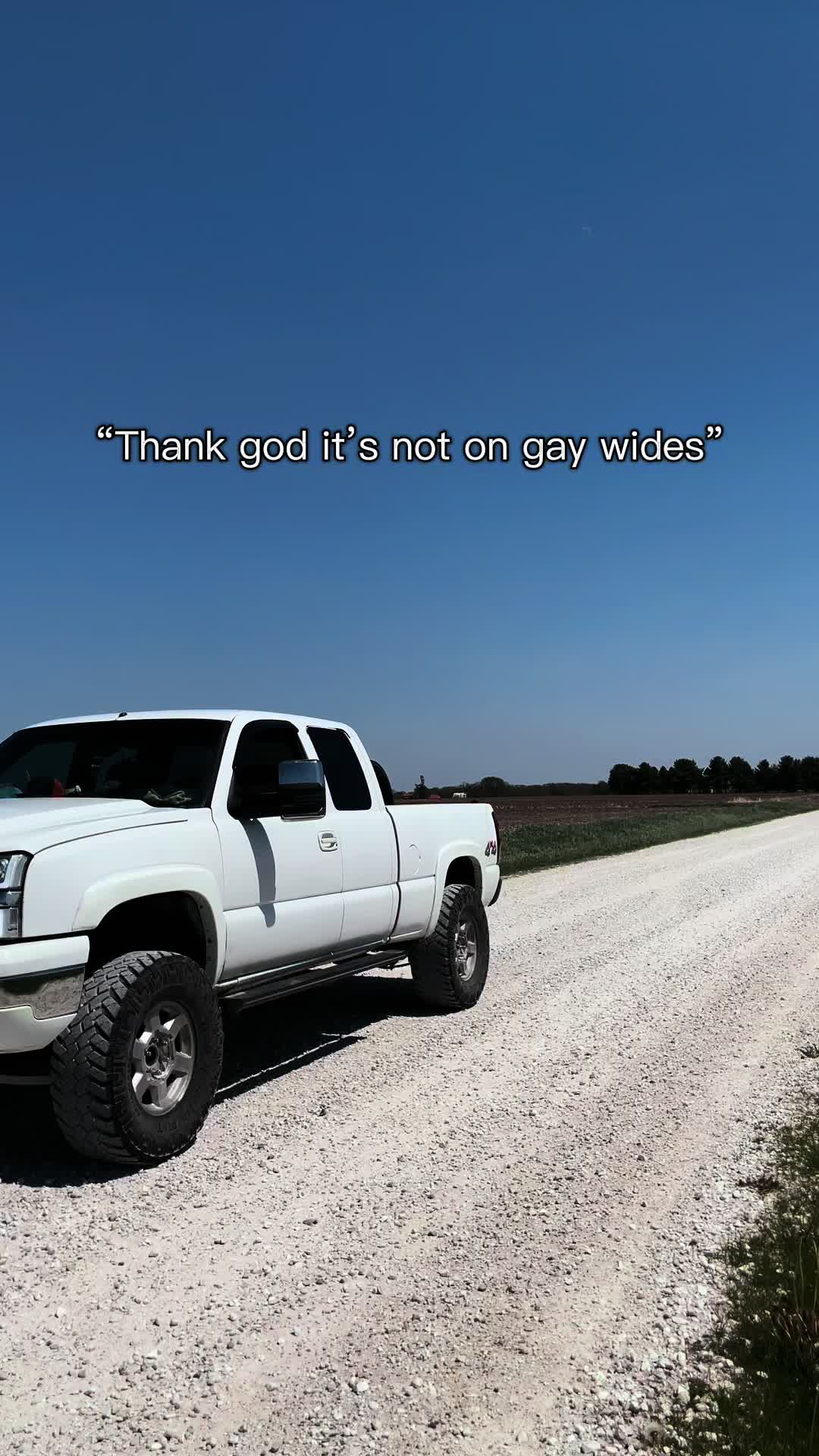 @06_whitecateye