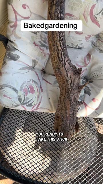 @Bakedgardening