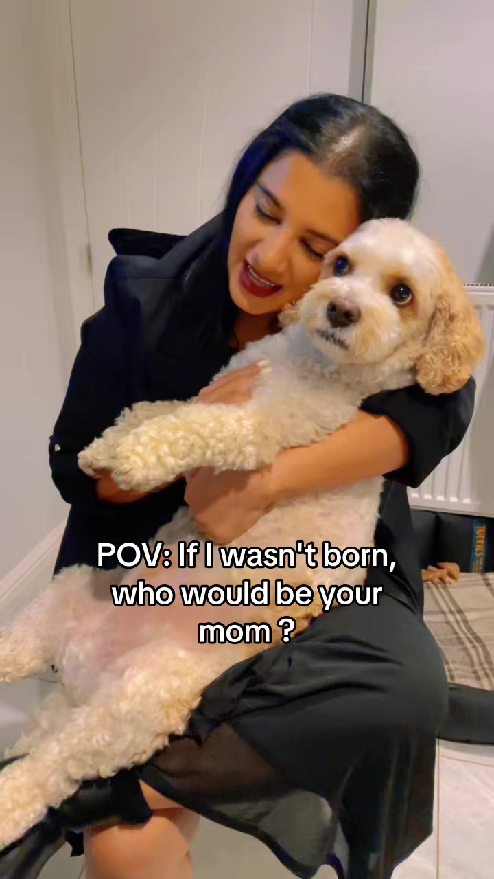 @My Cavachon