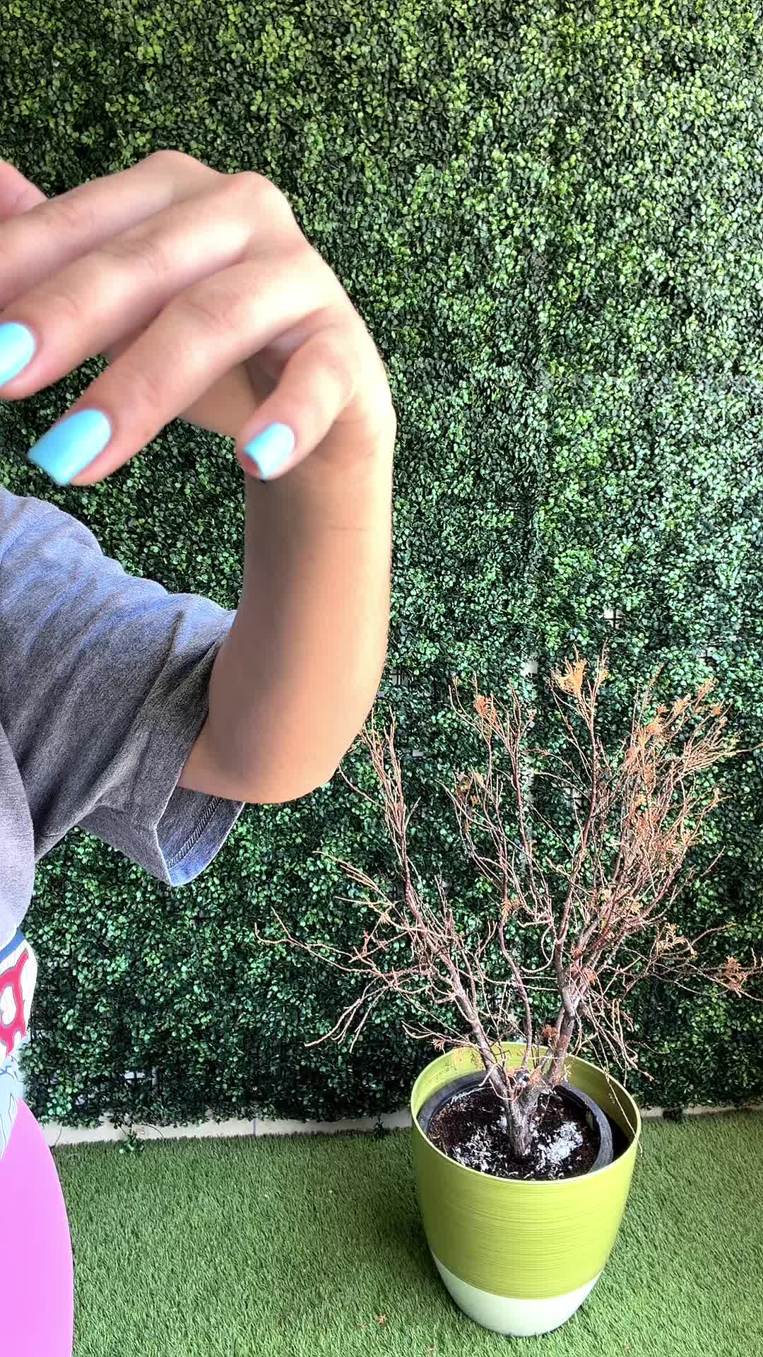 @soycandyalkareemm