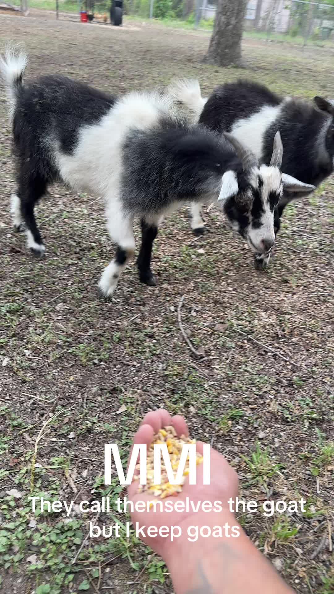@MICKMARTY