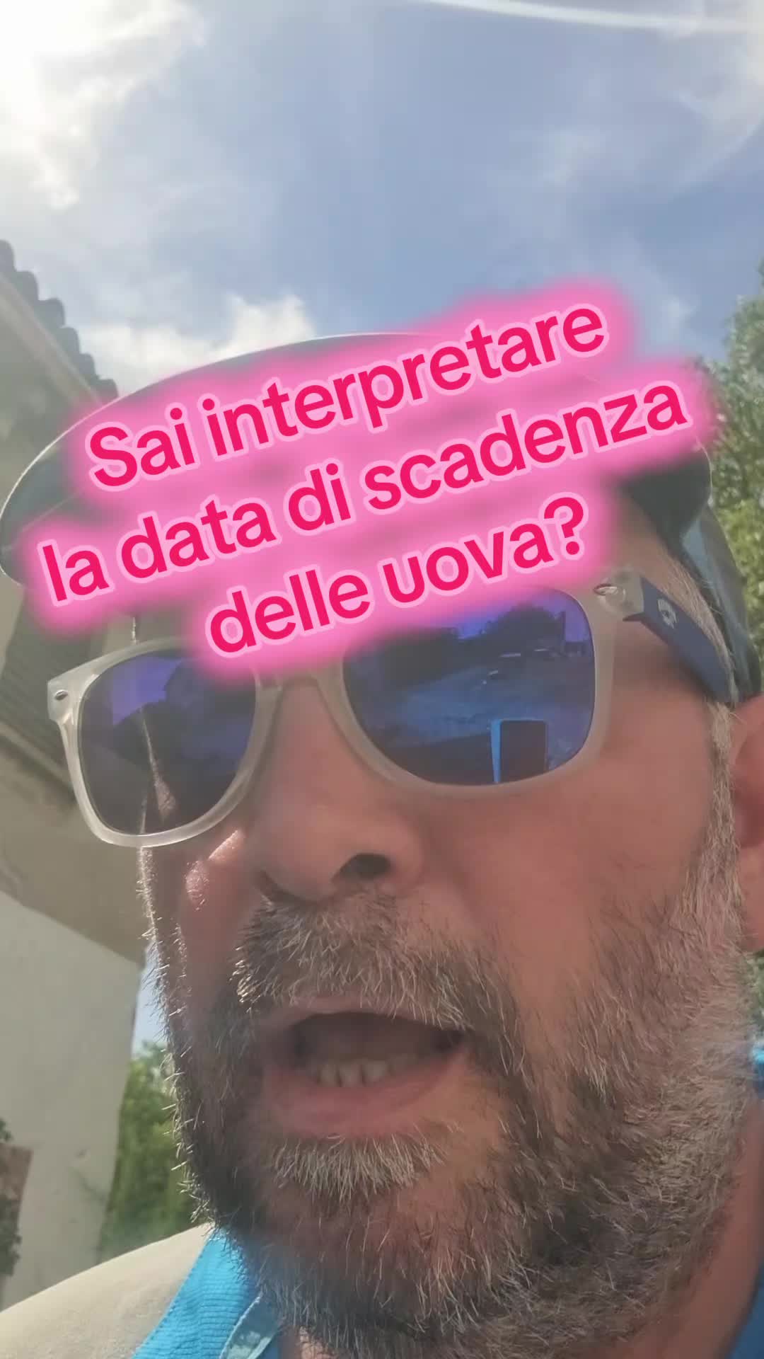 @Il leone e la gallina