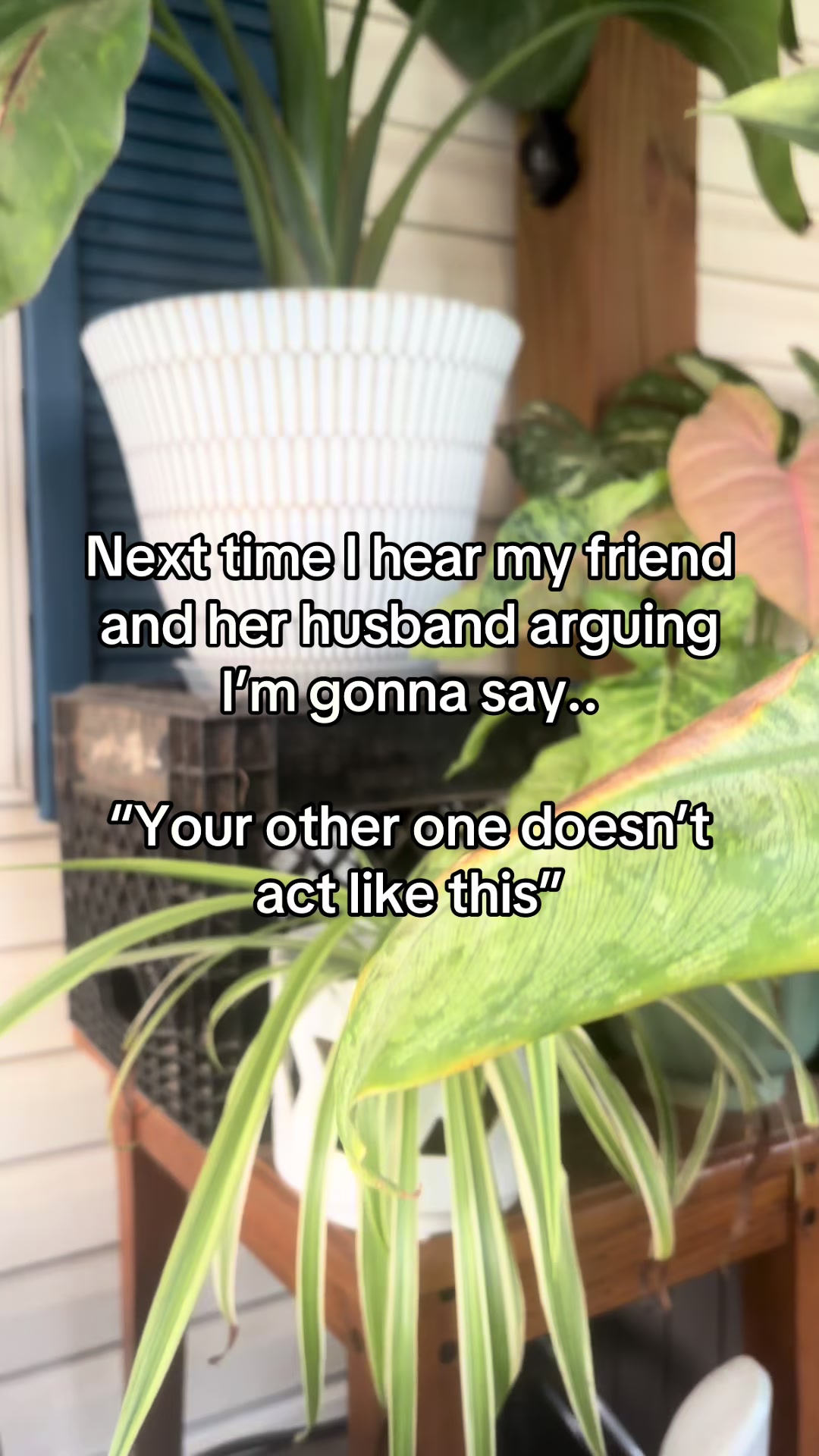 @It’s me dang it