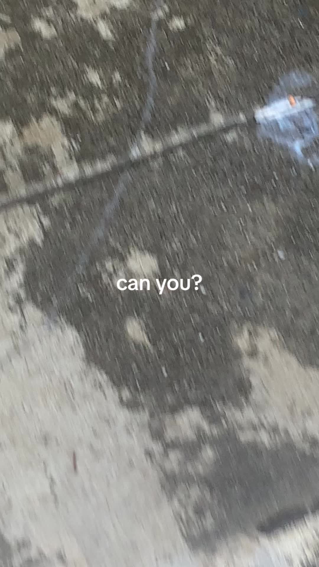 @harvey