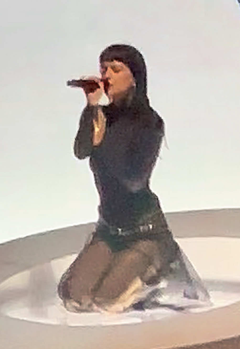 @RoseInThePit