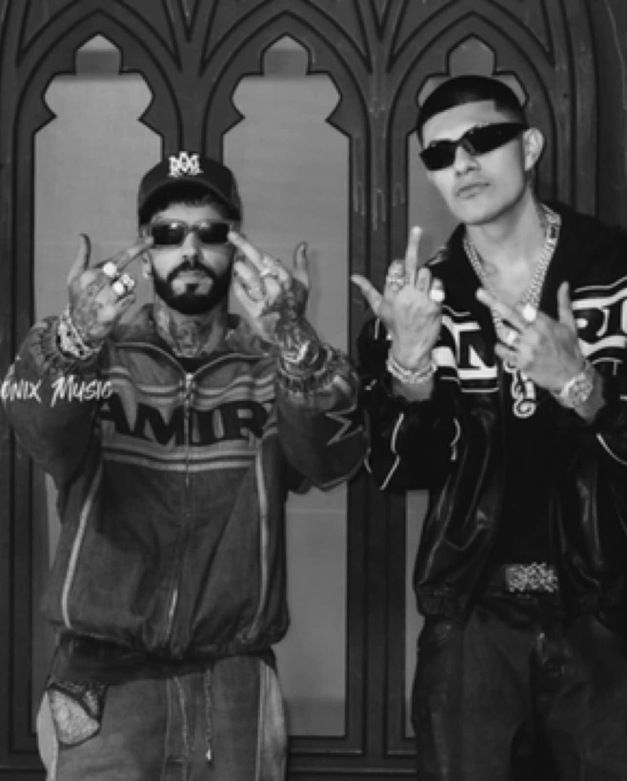 @AnonixMusicEdits