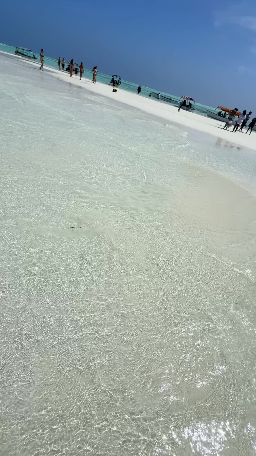 @ciccio_bello_di_zanzibar