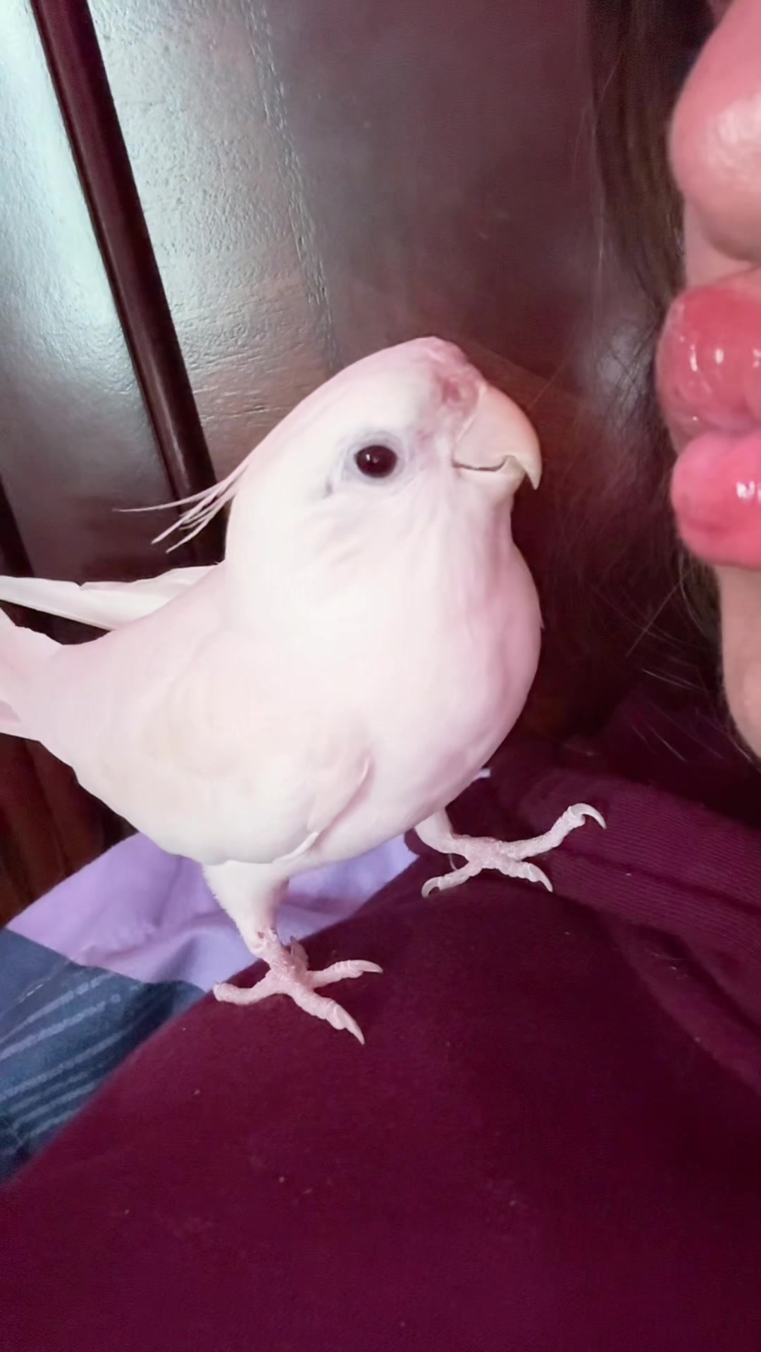 @`&middot;.&middot;★ 𝓓𝓲𝔂𝓪 ★&middot;.&middot;&acute;