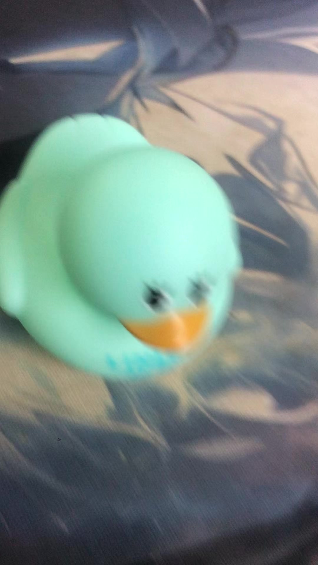 @yp