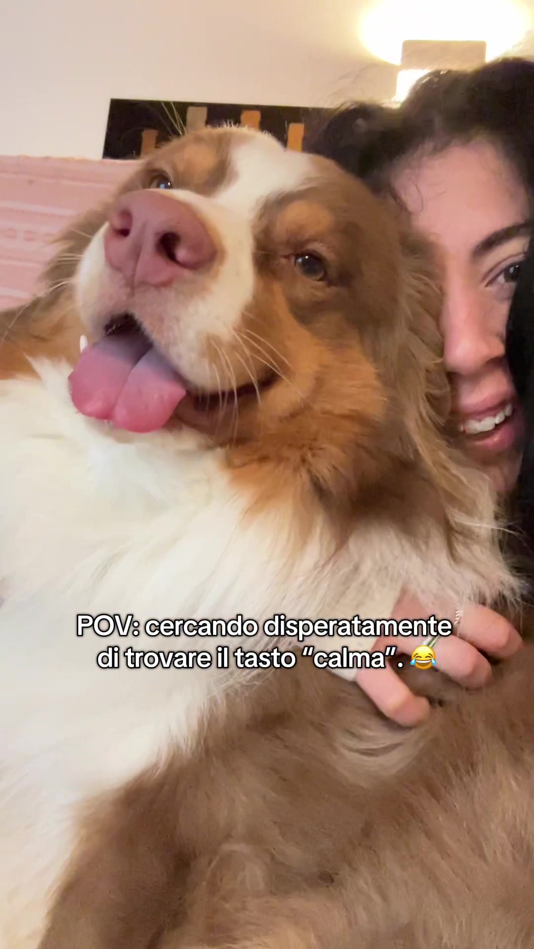 @Noeandfur 🐶🐾