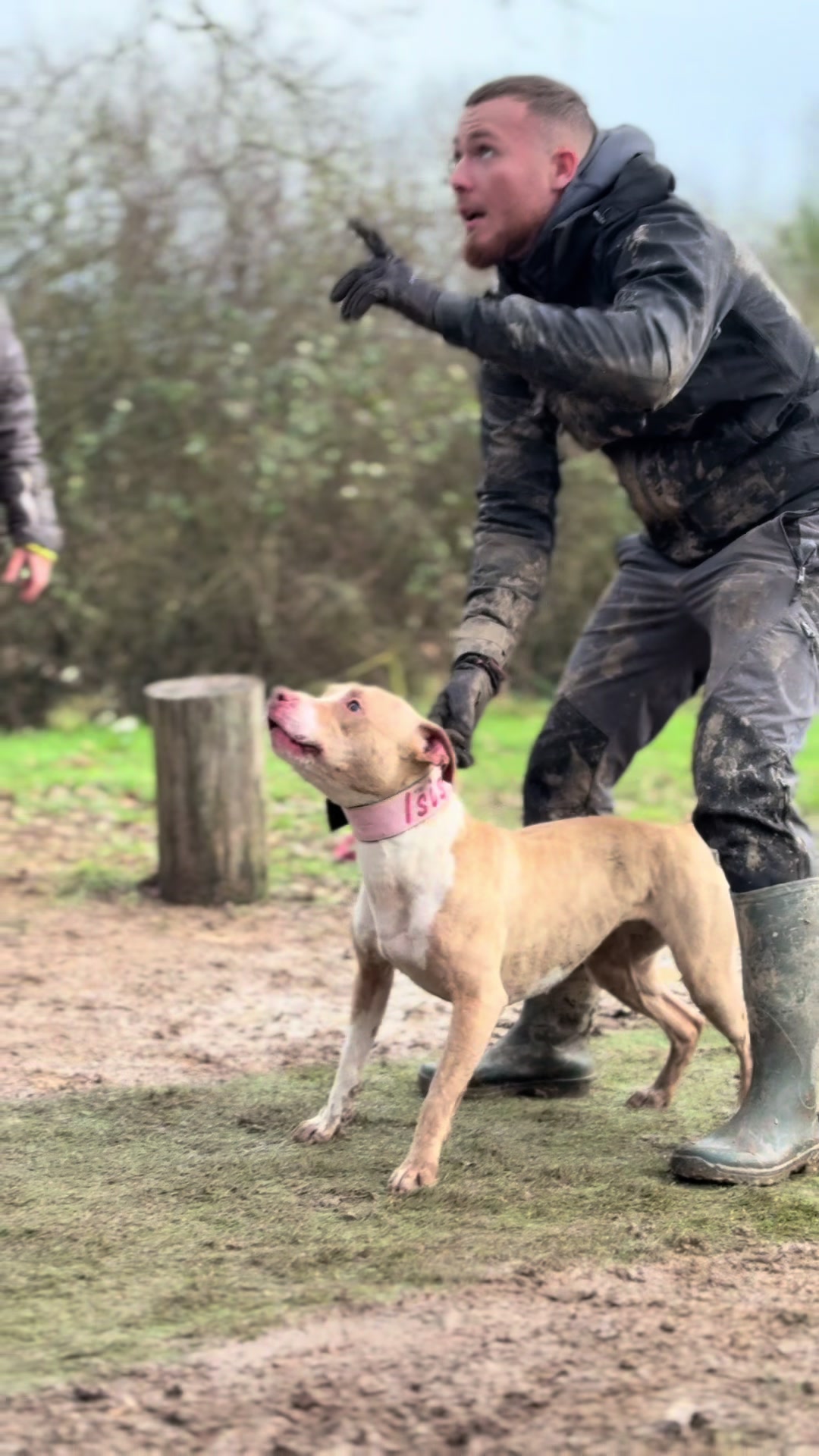 @kiara_isis_apbt