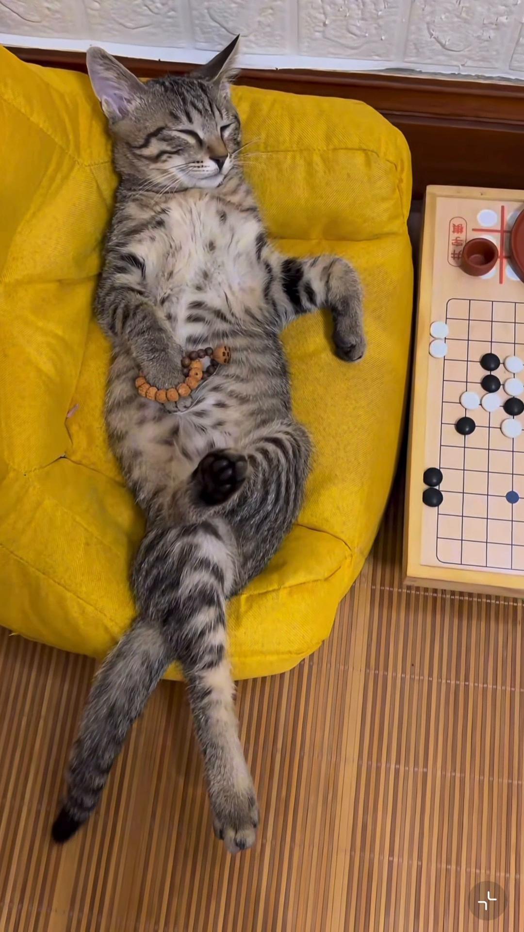 @My Daily Dose of Aww