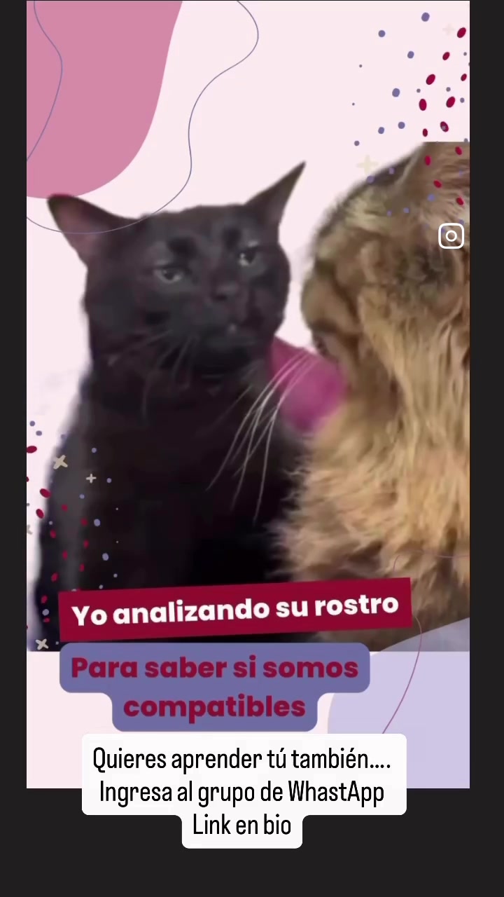@Instituto de la ConductaHumana