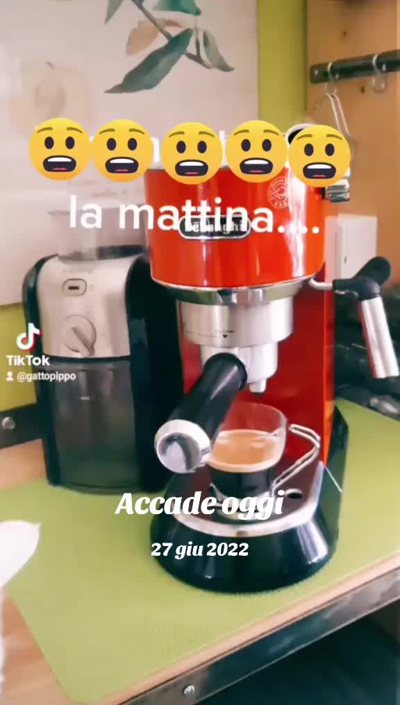 @gattopippo