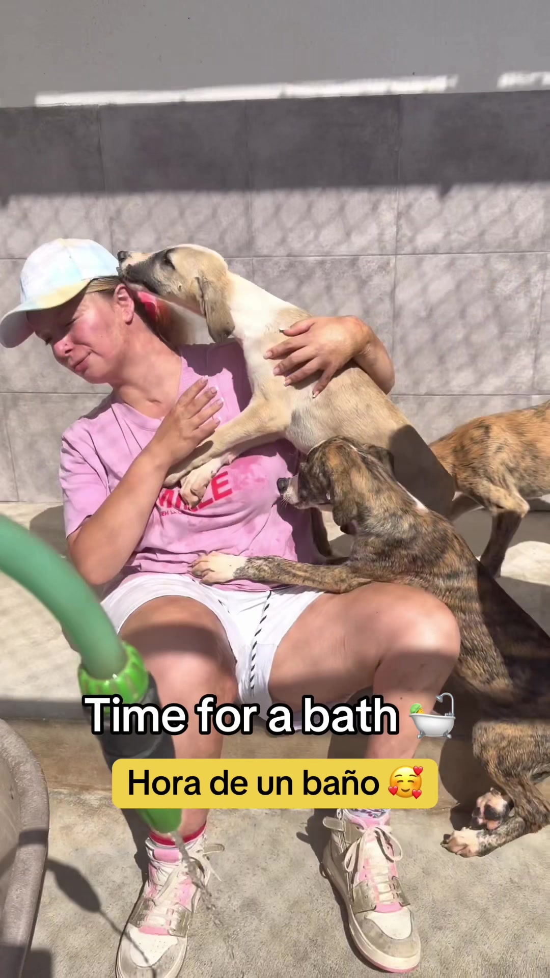 @Galgos del Sol