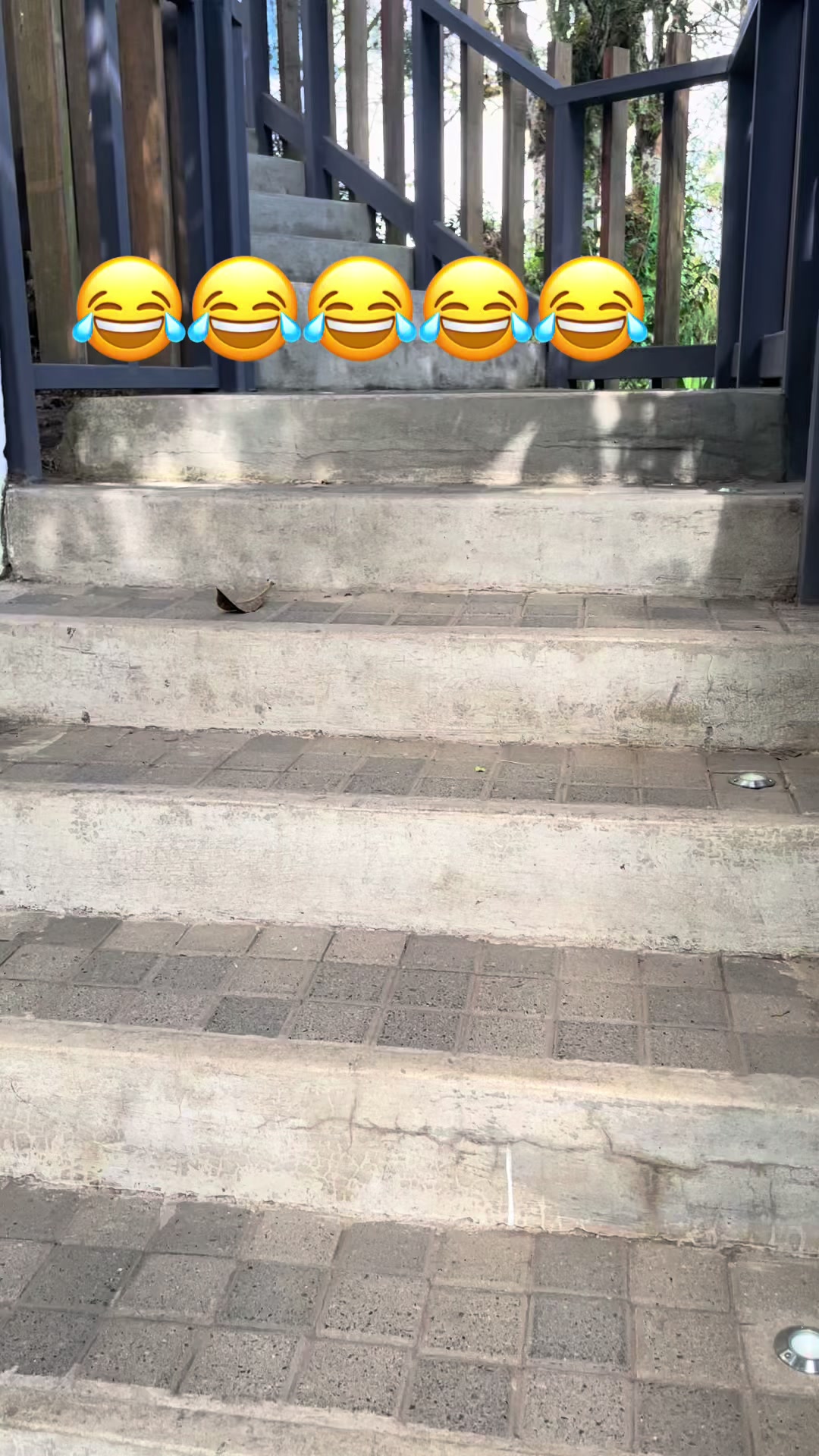 @El Fenix