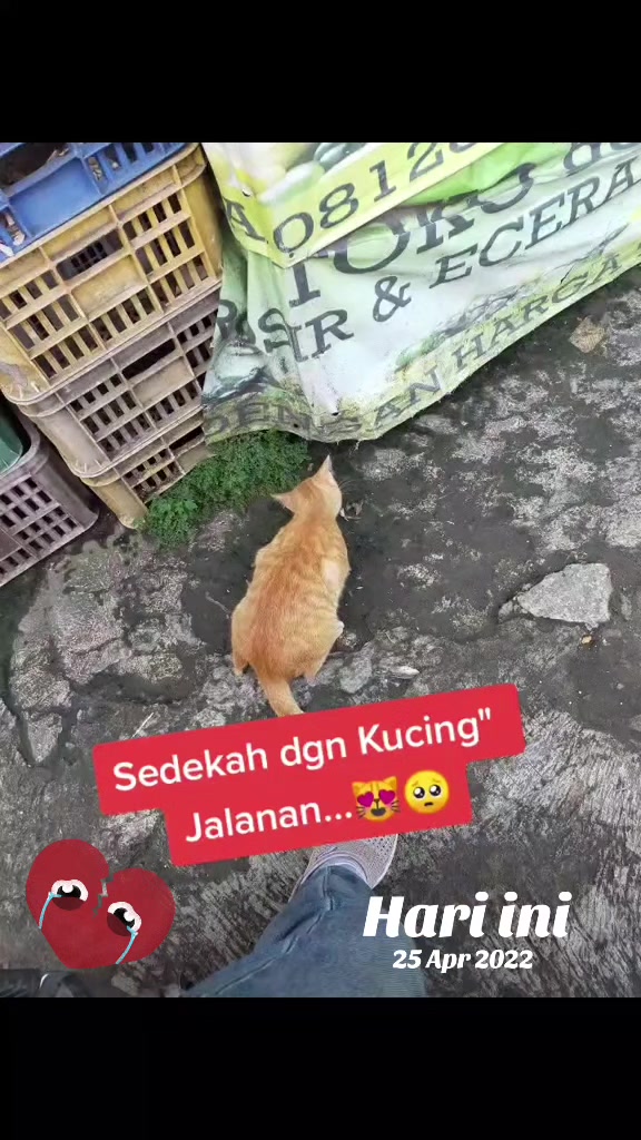 @Wingid Sugiarti
