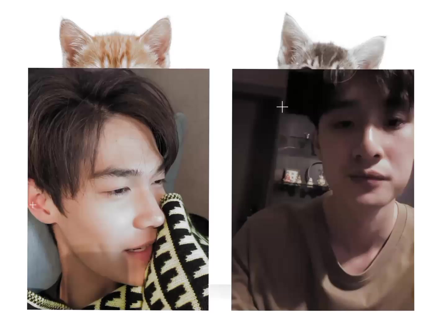 @chiwen .ᐟ