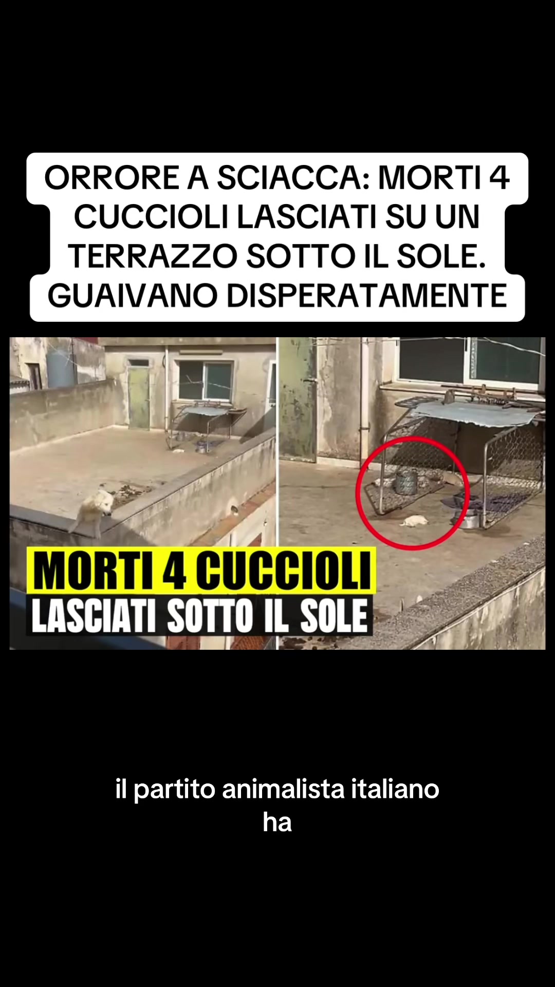@flashtv_notizie