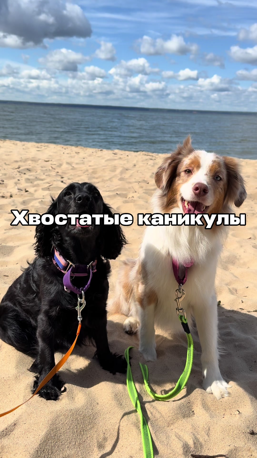 @𝚃𝚠𝚒𝚡