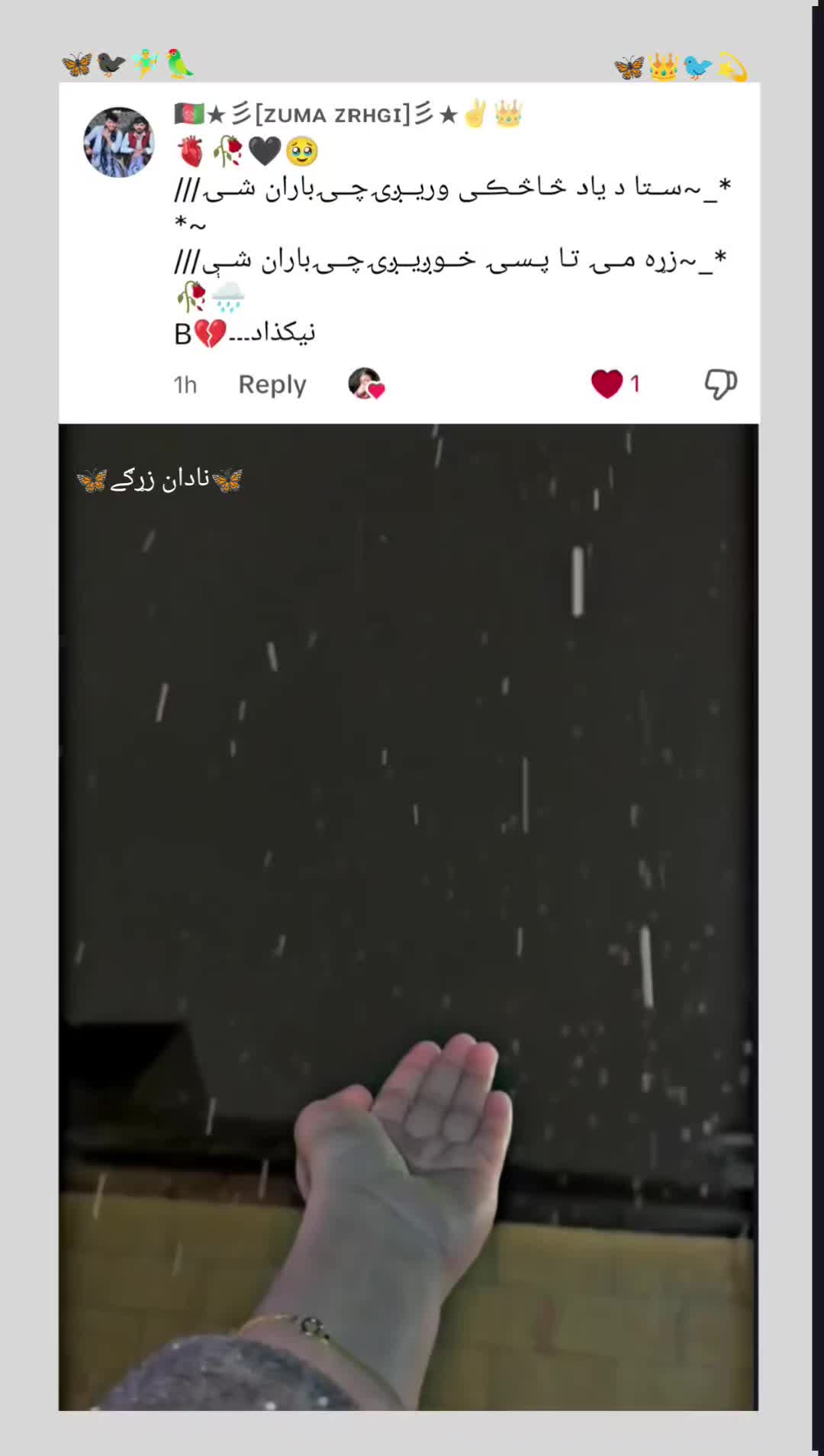 @🌷🦋 غمجنی ٹپی 🦋🌷