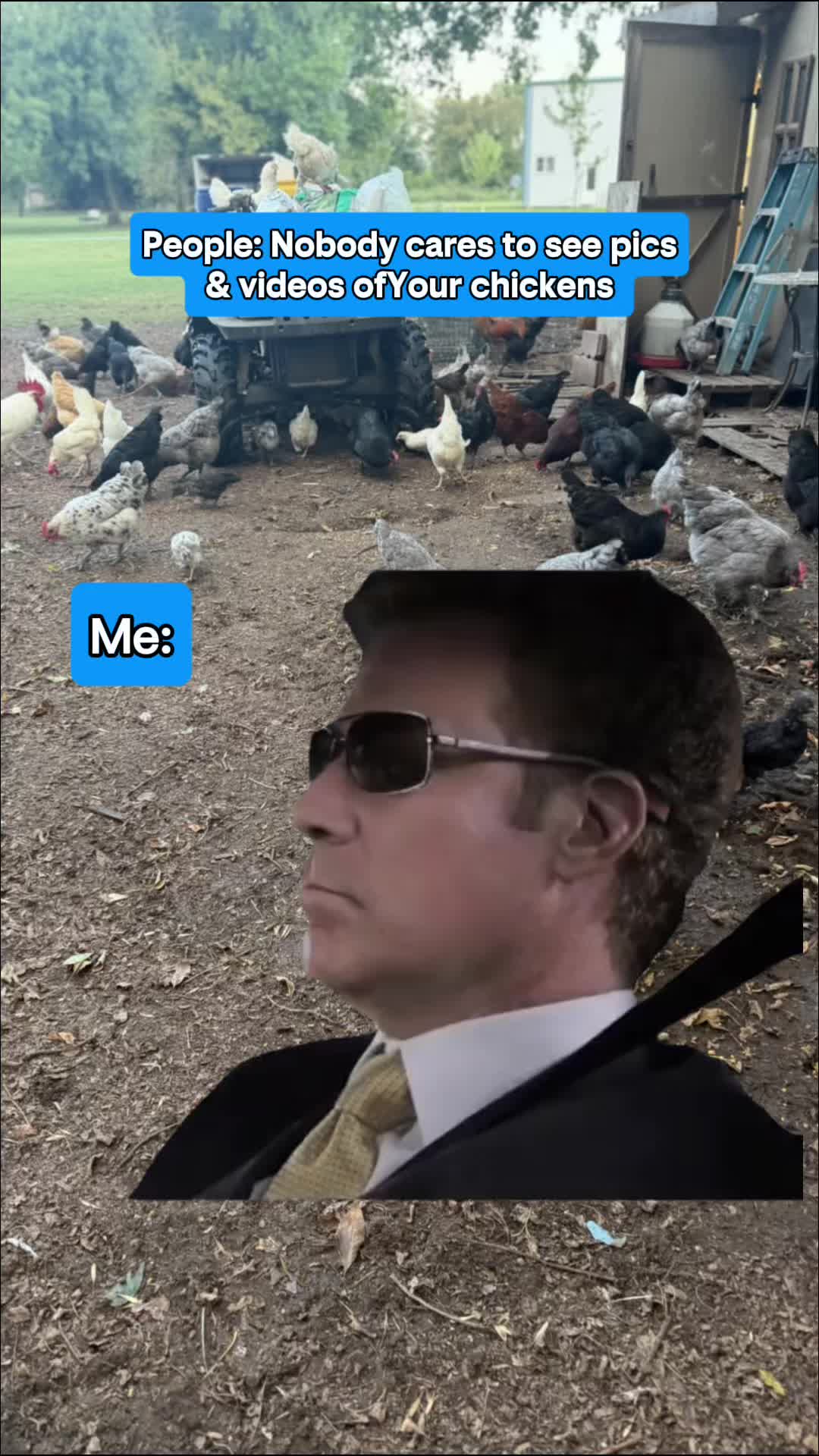 @NonniesFunnyFarm