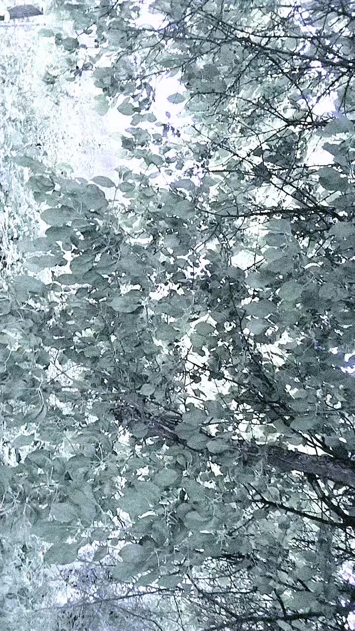 @варшко🦔🦔