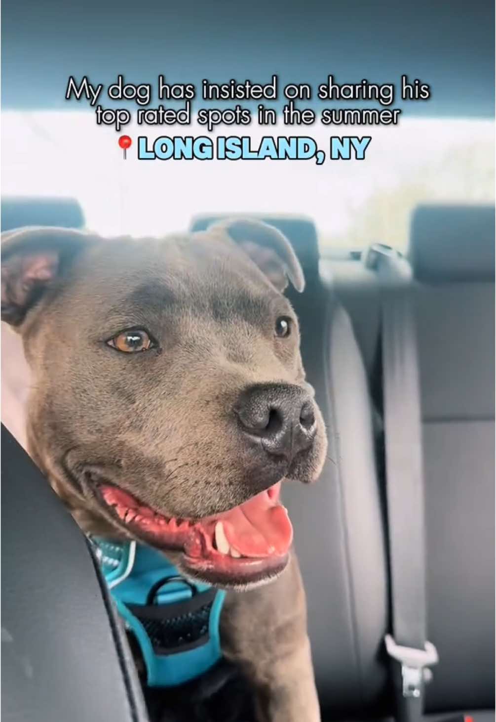 @TheTravelingNewYorker