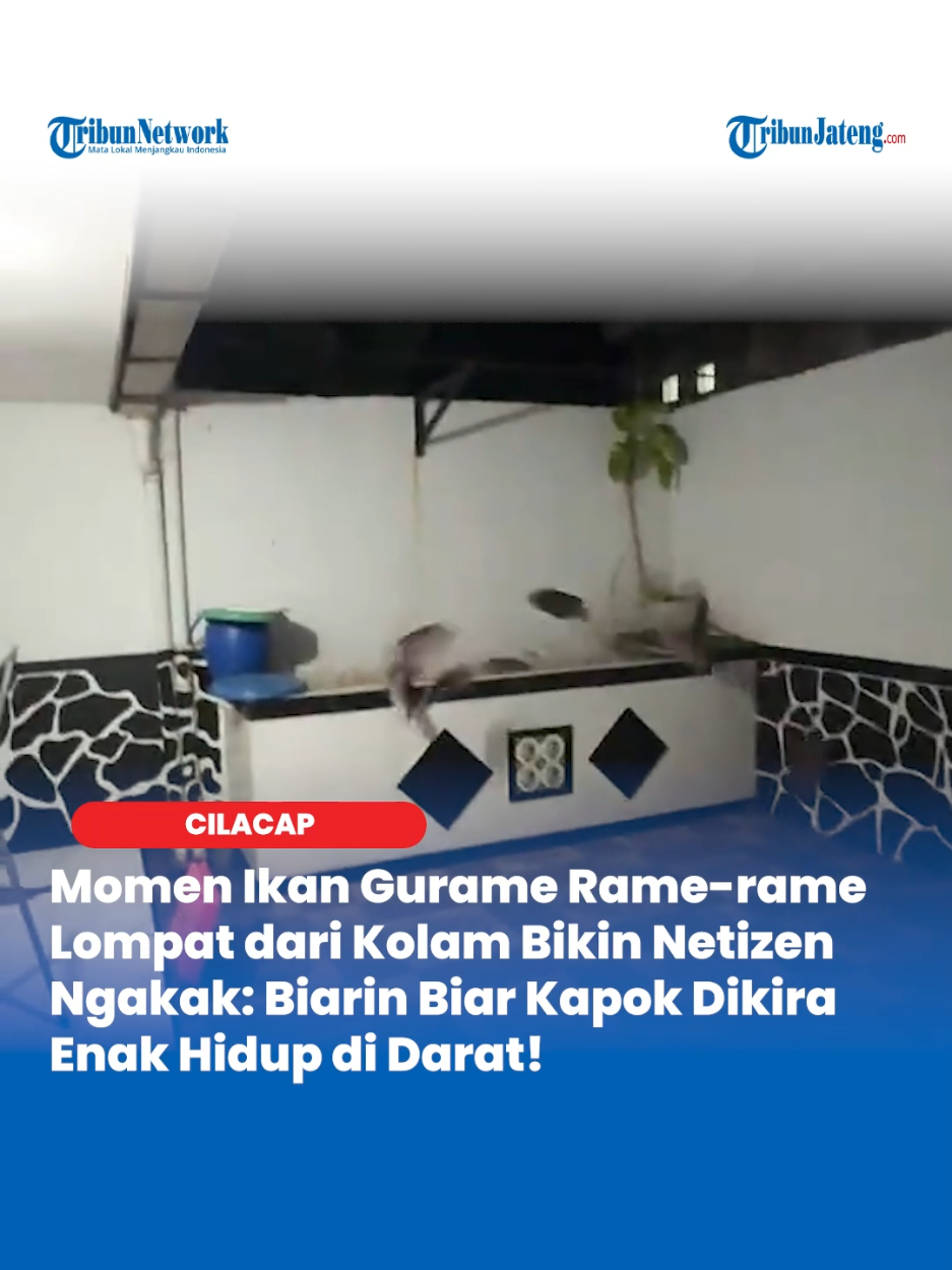 @Tribun Jateng