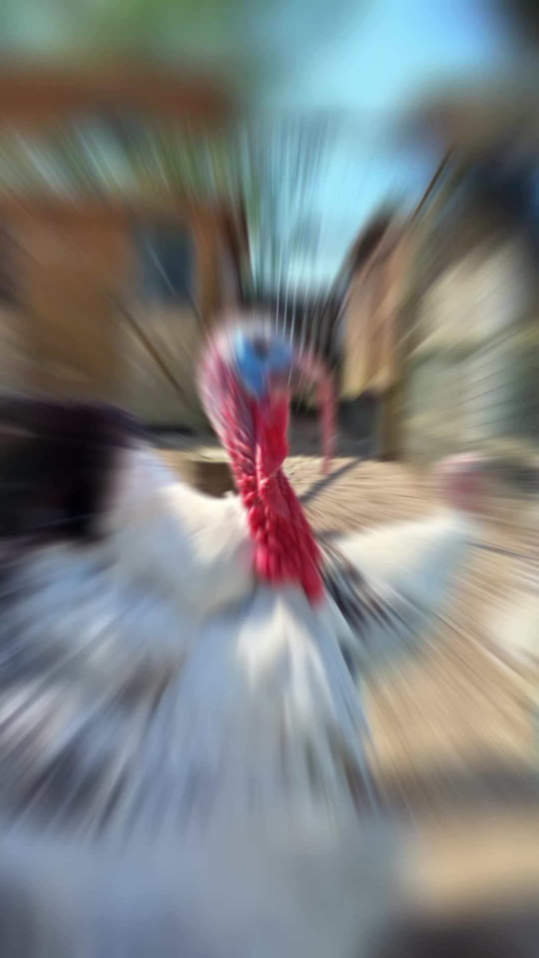 @🦚🆃𝓲𝓮𝓻🅿𝓪𝓻𝓴🆃𝓸𝓴🦚