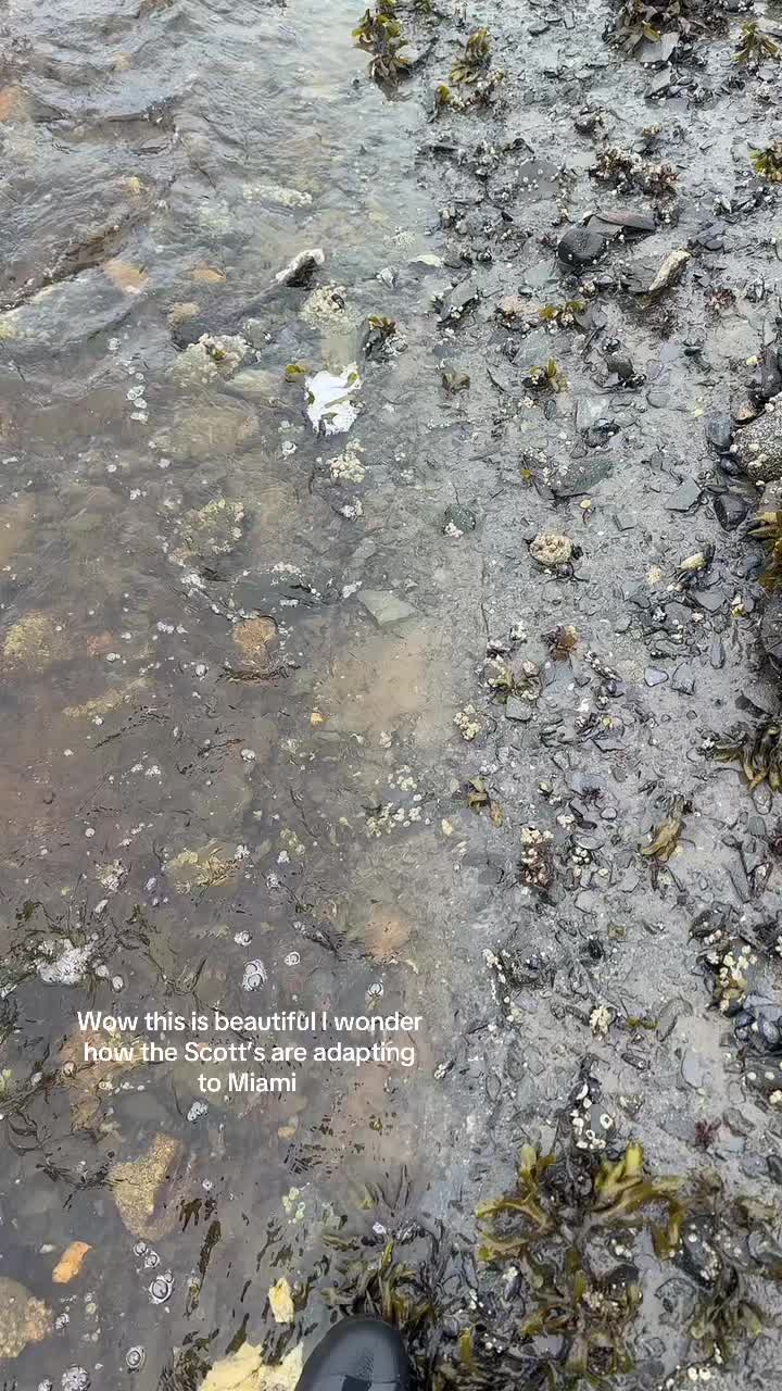 @Melissa Pratico