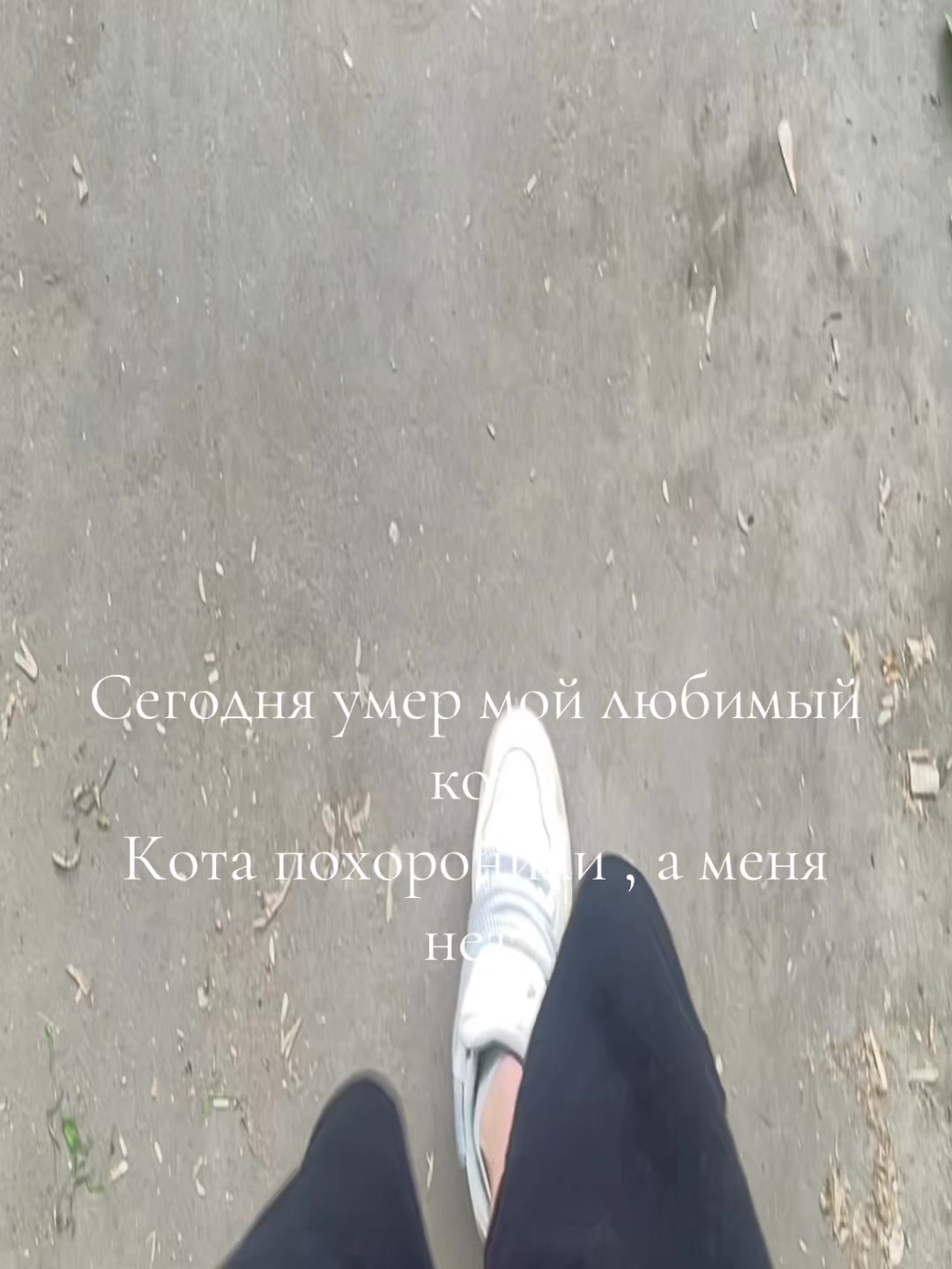 @Милова⚜️