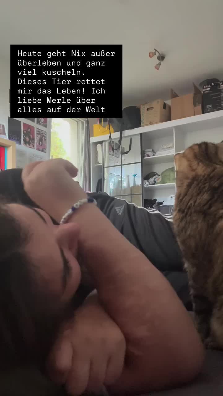 @丰 ⋆˚࿔ Alina 𝜗𝜚˚⋆丰