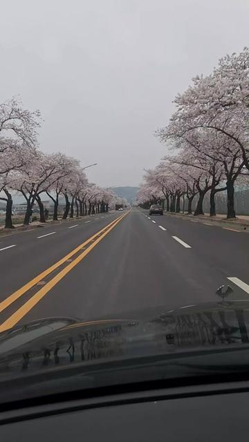 @장병호