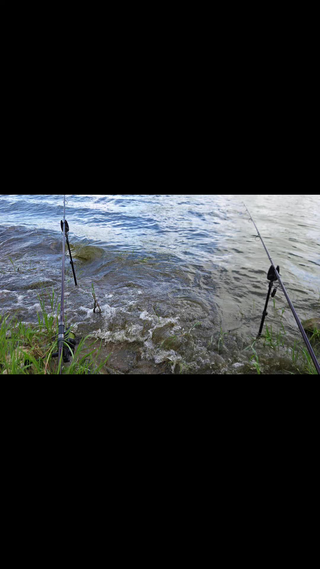 @river carpe passion