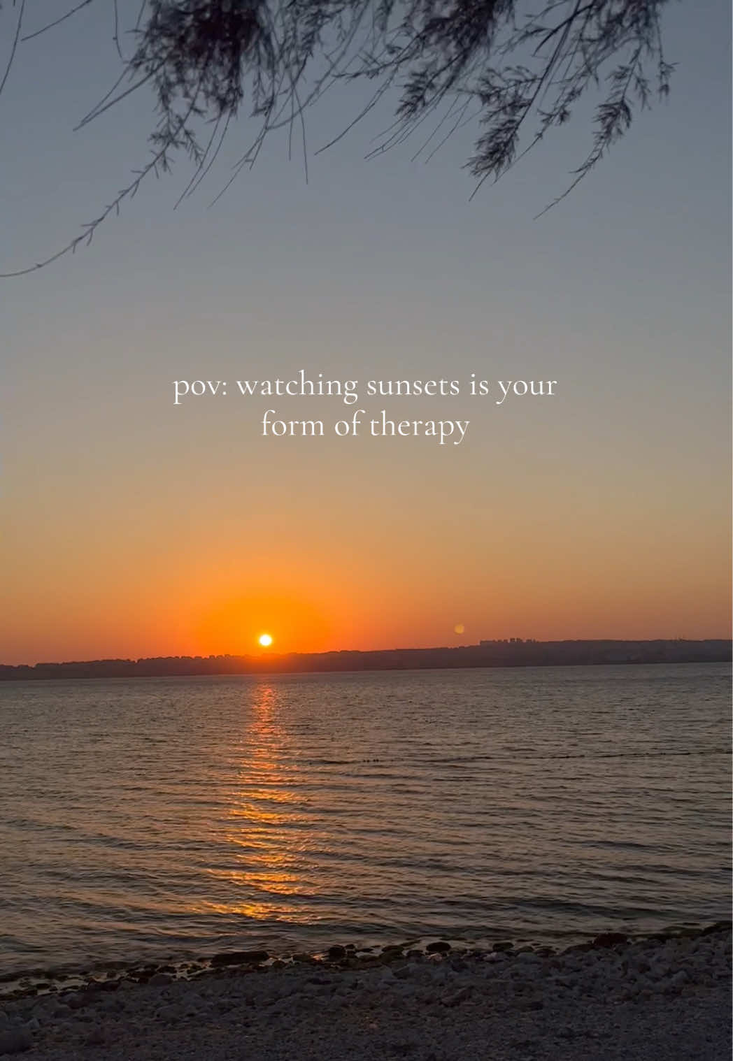 @ᴅɪʟᴀʀᴀ ❀