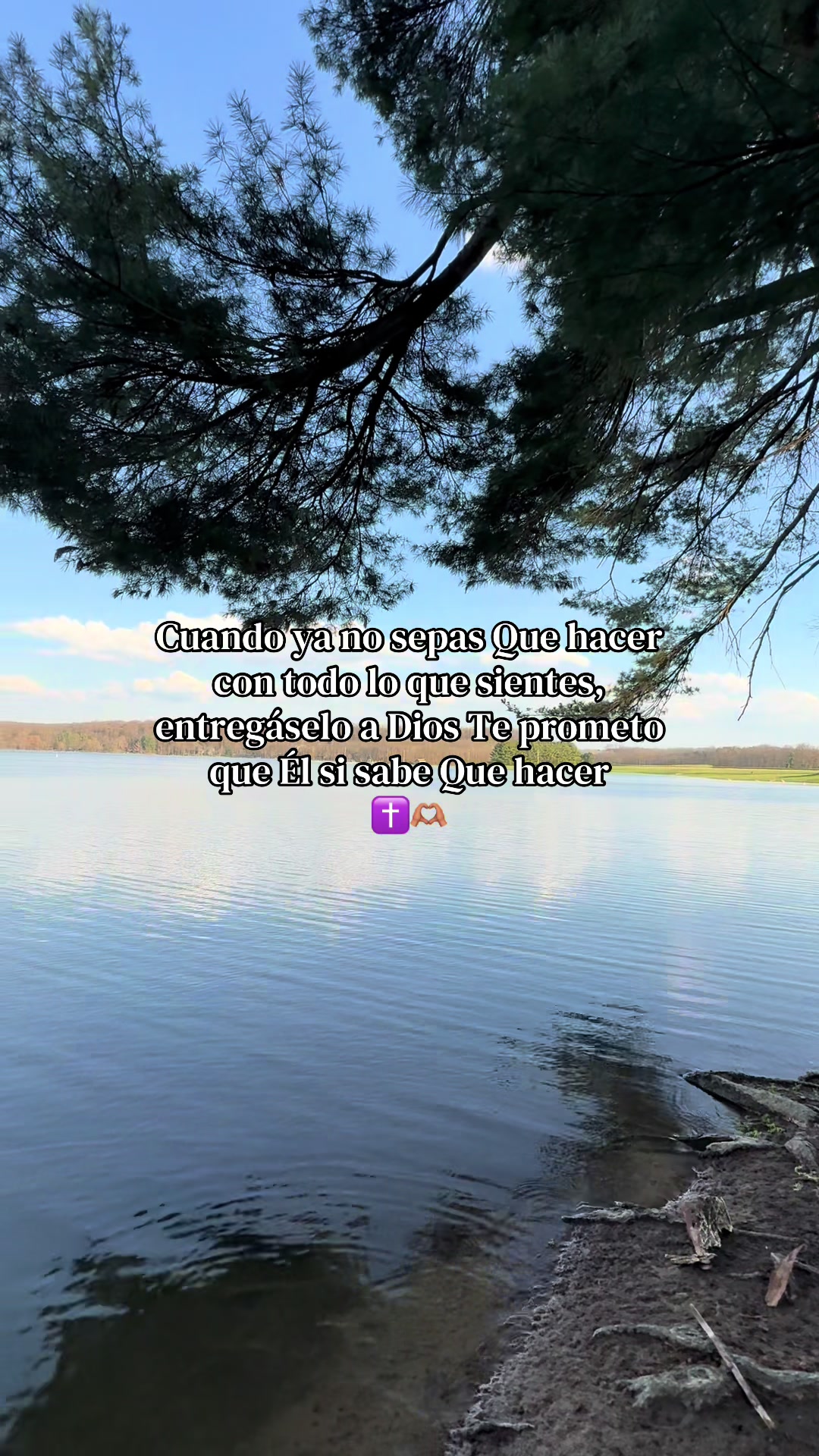 @🤍✨.