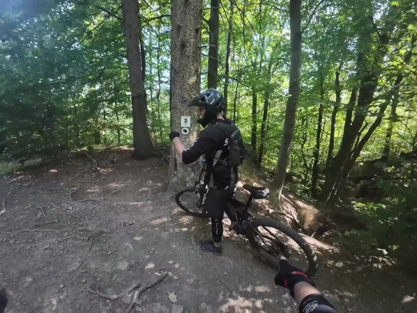 @CovalWolf