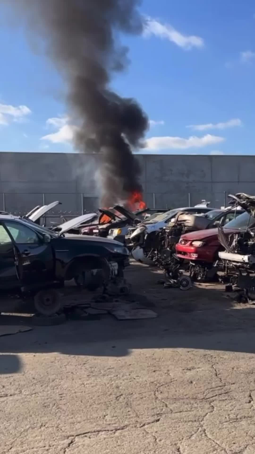 @junkyard_jose